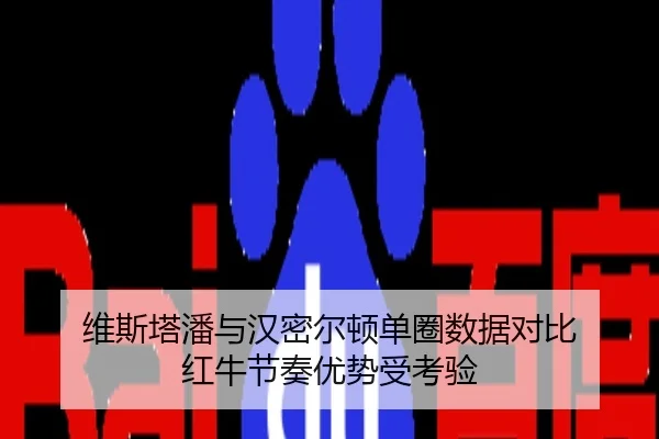 维斯塔潘与汉密尔顿单圈数据对比 红牛节奏优势受考验